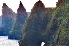 81143961_1045939522405553_7937458162712444928_n