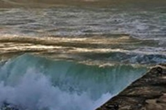 81224415_1046936878972484_5574881556096352256_n