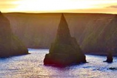 81378543_1045939445738894_2056936133853446144_n