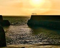 82153566_1046937378972434_3179765637295636480_n