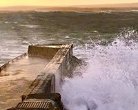 82357066_1046936935639145_7543301733988958208_n