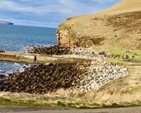 52546684_819682458364595_6537602212116299776_n