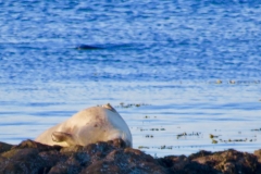 -1061477376602734608_IMG_1076