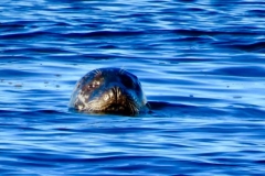 4154021375459014868_IMG_1074