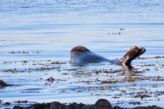 5716137438123553766_IMG_1079