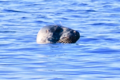 7879478283467334504_IMG_1073