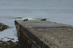 Windhaven Cafe Camping and B & B 011