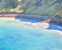 53808755_831317663867741_2612712508342927360_n