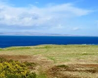 53851619_831317200534454_5634104310385082368_n