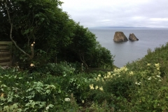 Windhaven Cafe Camping and B & B 032