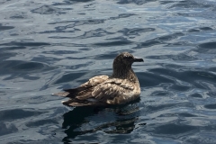 Windhaven Cafe Camping and B & B 033