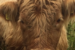 Windhaven Cafe Camping and B & B 038