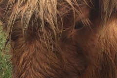 Windhaven Cafe Camping and B & B 039