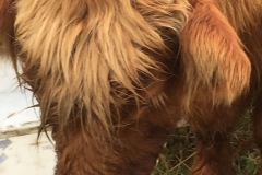 Windhaven Cafe Camping and B & B 040