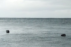 Windhaven Cafe Camping and B & B 055