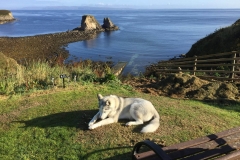 Windhaven Cafe Camping and B & B 063