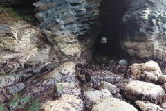 Windhaven Cafe Camping and B & B 070