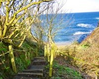 Windhaven-Cafe-Camping-and-B-B-views-006