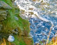 Windhaven-Cafe-Camping-and-B-B-views-009