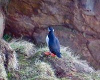 Windhaven-Cafe-Camping-and-B-B-views-010