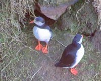 Windhaven-Cafe-Camping-and-B-B-views-013