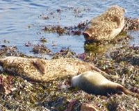 Windhaven-Cafe-Camping-and-B-B-views-014