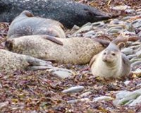 Windhaven-Cafe-Camping-and-B-B-views-015