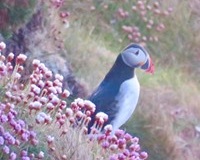 Windhaven-Cafe-Camping-and-B-B-views-020