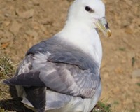 Windhaven-Cafe-Camping-and-B-B-views-021