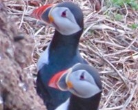 Windhaven-Cafe-Camping-and-B-B-views-022