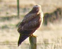 Windhaven-Cafe-Camping-and-B-B-views-024