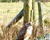 Windhaven-Cafe-Camping-and-B-B-views-025