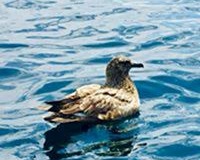 Windhaven-Cafe-Camping-and-B-B-views-026